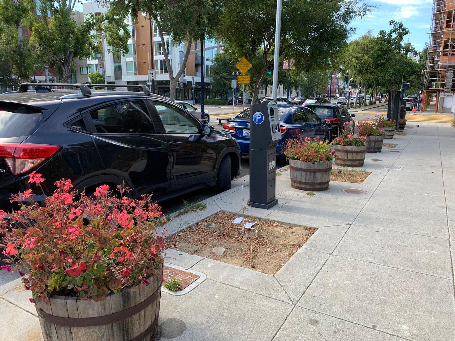 Heavy barrels block the sidewalk. The tree boxes are empty.