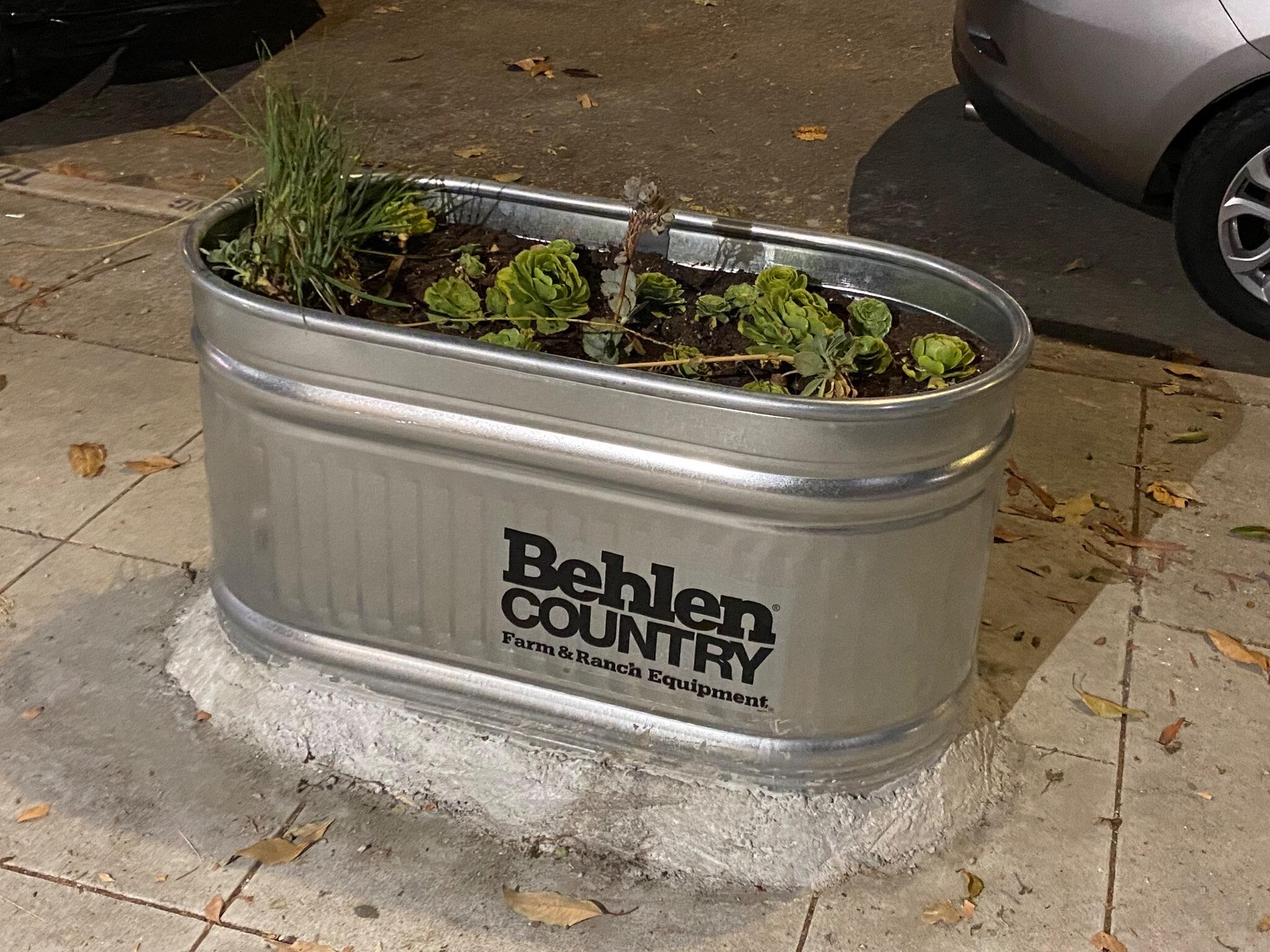 A planter privately cemented to the sidewalk. This is not gardening.